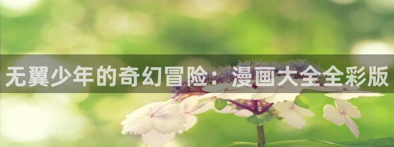 纯情丫头火辣辣奇漫屋：无翼少年的奇幻冒险：漫画大全全彩版